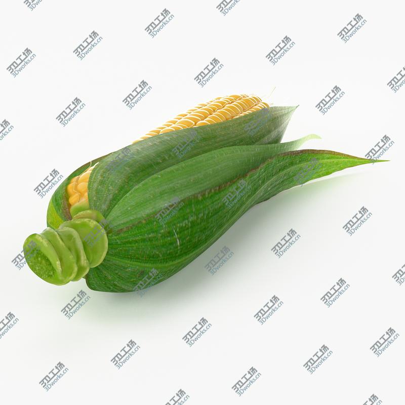 images/goods_img/2021040234/Realistic Corn/4.jpg